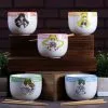 5 Piece Sailor Moon Sailor Senshi Ramen Bowl Set -Fun Place Pop Store 5 piece sailor moon ramen bowl set
