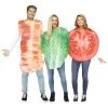 Adult BLT Costume -Fun Place Pop Store adult blt group costume