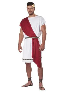 Party Toga Costume For Adults -Fun Place Pop Store adult party toga costume alt 2
