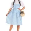 Adult Plus Size Kansas Girl Costume | Farm Girl Costume -Fun Place Pop Store adult plus size kansas girl costume