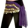 Purple Belly Dancer Adult Hip Scarf -Fun Place Pop Store adult purple belly dancer hip scarf