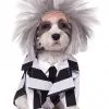 Beetlejuice Dog Costume -Fun Place Pop Store beetlejuice pet costume