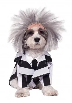 Beetlejuice Dog Costume
