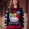 Holiday Friends Sweater For Adults -Fun Place Pop Store friends holiday sweater