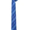 Harry Potter Ravenclaw Basic Necktie -Fun Place Pop Store harry potter ravenclaw basic necktie