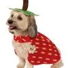 Red Strawberry Dog Costume -Fun Place Pop Store red yummy strawberry dog costume
