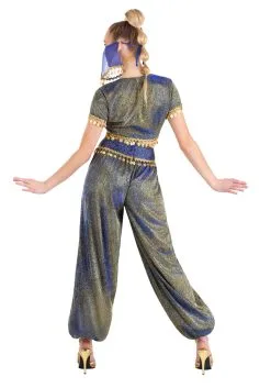 Sexy Genie Women's Costume -Fun Place Pop Store sexy womens genie costume alt 1
