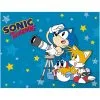 Sonic The Hedgehog - Sonic & Tails Sublimation Throw Blanket -Fun Place Pop Store sonic the hedgehog sonic tails sublimation throw