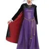 Deluxe Women's Evil Queen Costume -Fun Place Pop Store womens deluxe evil queen costume
