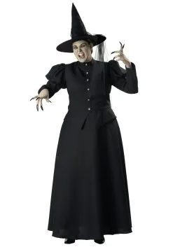 Plus Size Witch Costume For Women's